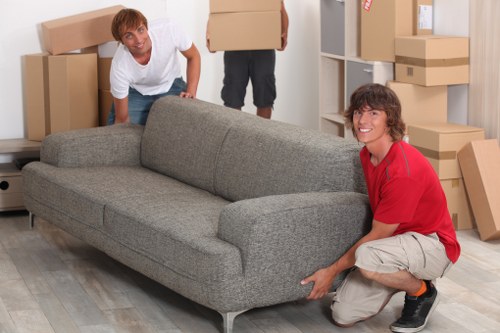 Safe and professional moving service with insurance and PPE